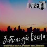 Группа Пули Дни Заблатуй Весна
