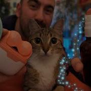 Taboo Asmr