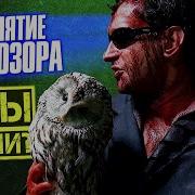 Дневной Дозор