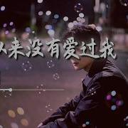 你从来没有爱过我