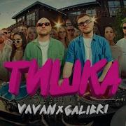 Тишка Vavan Galibri