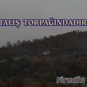Firudin Seferov Talis