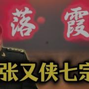 张又侠抓苗华