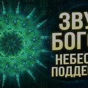 Дуйко Шумы