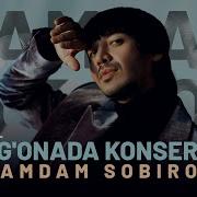 Xamdam Konsert