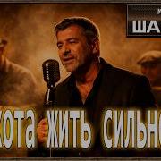 Музыка Памяти А В Пятьдесят Охота Жить Сильнее Шансон Музыка Памяти