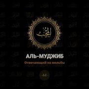 Аль Муджип