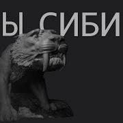 Сны Сибири