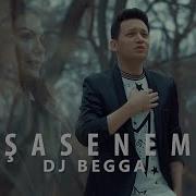 Sasenem