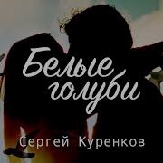 Белые Лебеди Сергей Куренков
