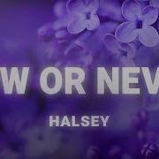 Halsey Now Or Never Lyrics