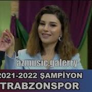 Sebnem Turk Mahnisi