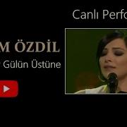 Gül Düşer
