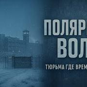 Полярный Волк