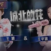 王 源