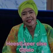 Gelo 2026