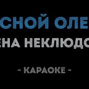 Лесной Олень Караоке