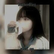 Butterfies Sped