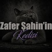 Zafer Şahin