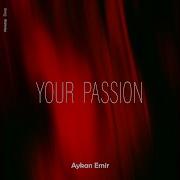 Aykan Emir You Passion