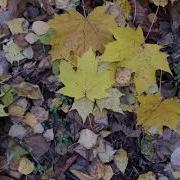 Дворовая Песня Осень Это Грустная Пора