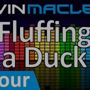 Kevin Macleod Fluffing A Duck
