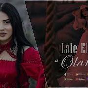 Lale Elizade Olarmış 2024