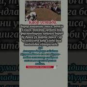 Мозорда