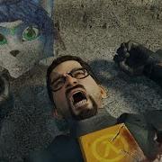 Sfm Love Half Life