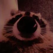 Pedro Slowed Reverb
