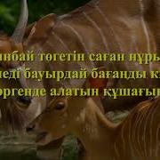 Иса Омар Бауырым Орындайтын Бибігүл Әшірбаева