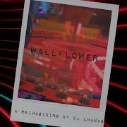 Wallflower Dj Ananas