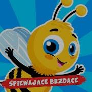 Spiewajace Brzdace