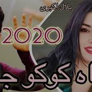 Shahkoko Jan