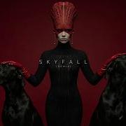 Neo Skyfall Remix