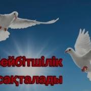 Бейбітшілік Сақталады Минус