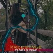 Tador Paranoia Max