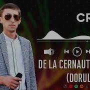 Nicolae Cretu Trenul