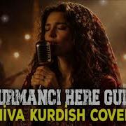 Kurmanji Hala Guli Hiva Paix