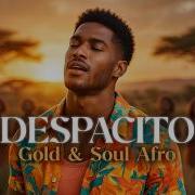 Luis Fonsi Despacito Afro Soul Cover Visualizer Mashup