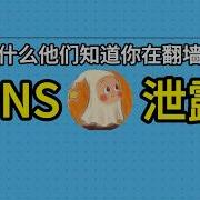 野生网管