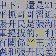 张震 提拔