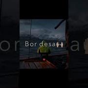 Бу Хаёт Шундай Яралган
