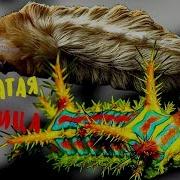 Гусеницы