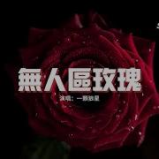 无人区的玫瑰