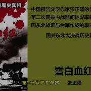 张正隆雪白血红29