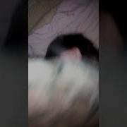 Ххзх