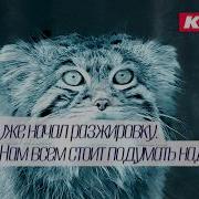 Кашин Олег