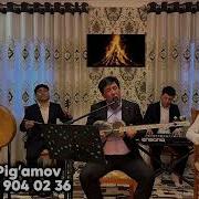 Darmon Pig Amov
