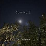 Opus Tim Carleton